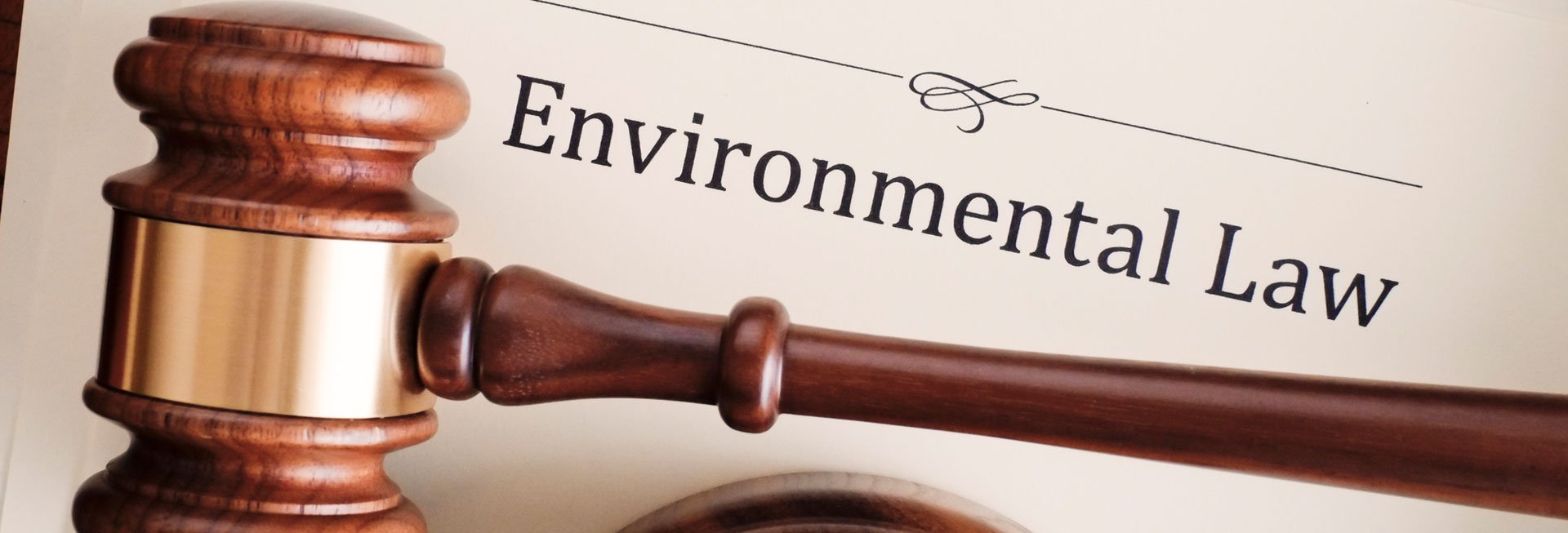 Richterhammer vor Umweltrecht-Schriftzug