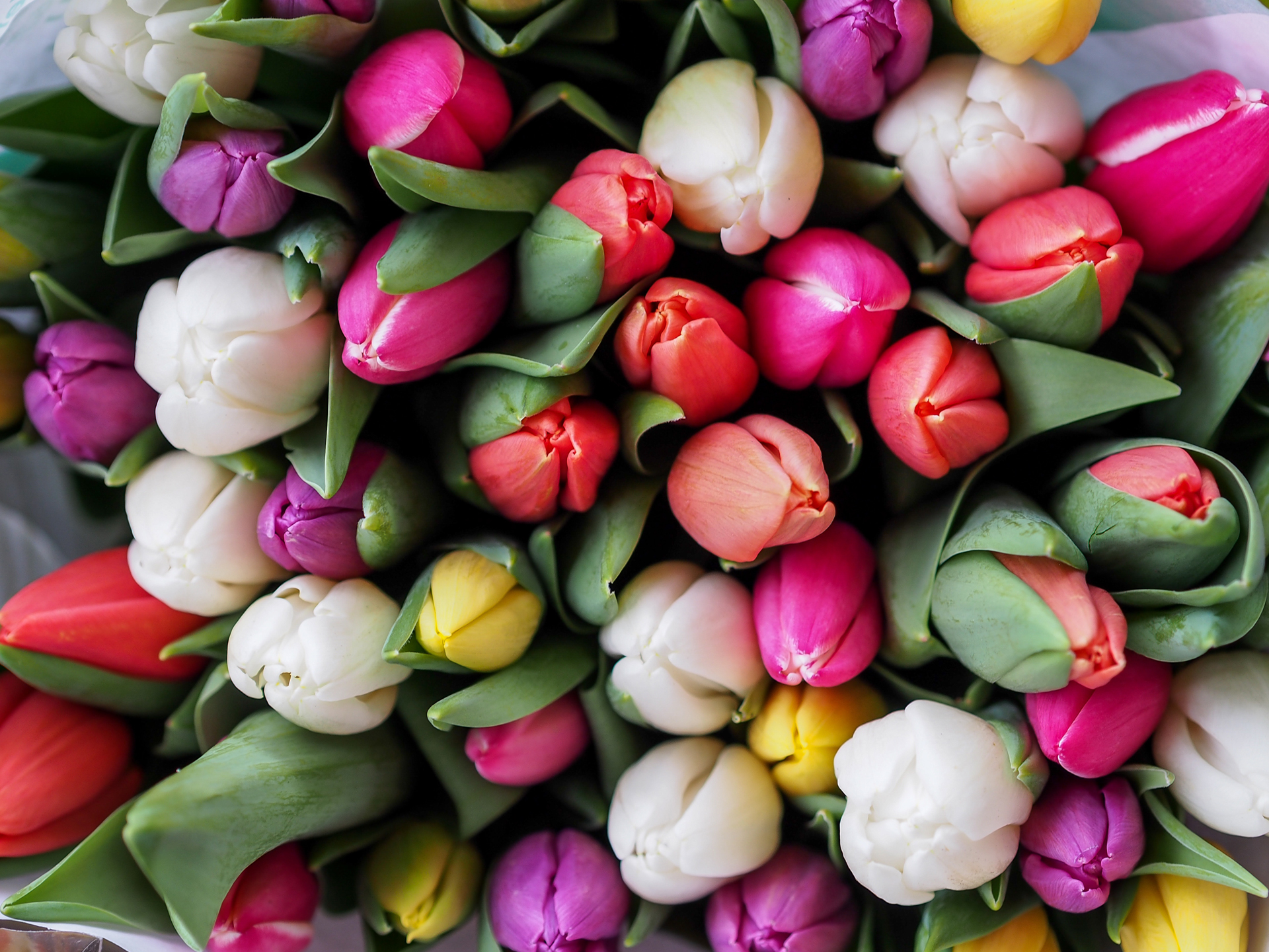Blumen