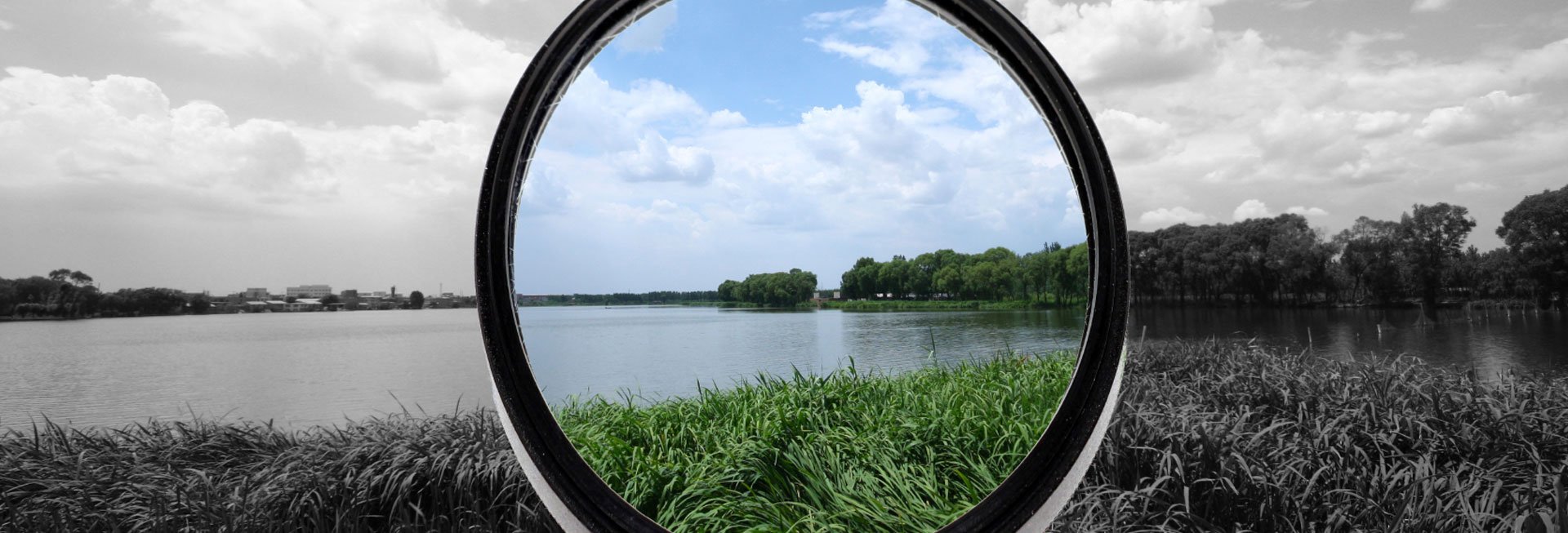 Blick auf Natur durch grau getöntes Glas mit rundem Ausschnitt in der Mitte.