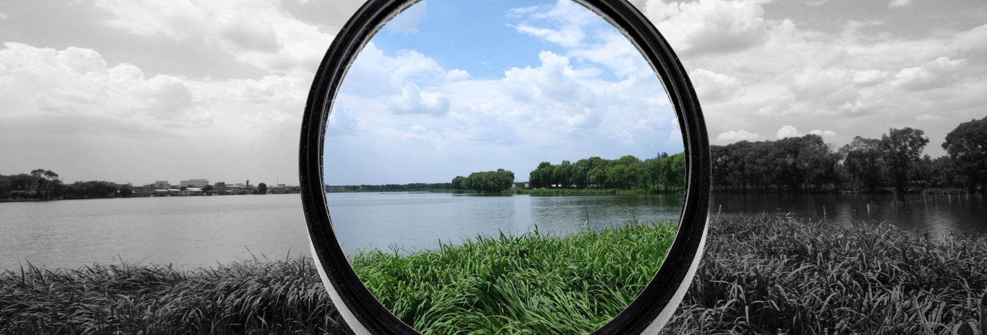 Blick auf Natur durch grau getöntes Glas mit rundem Ausschnitt in der Mitte.